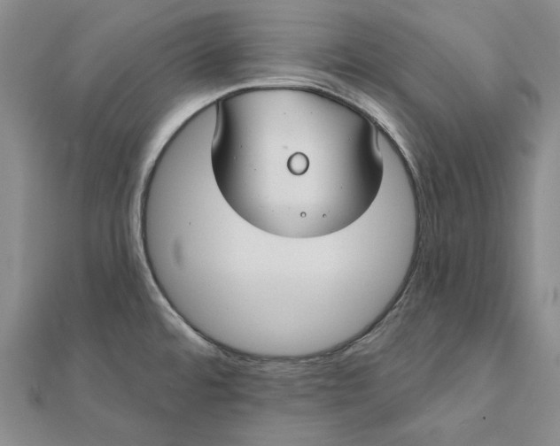 X0000112061480200908251009