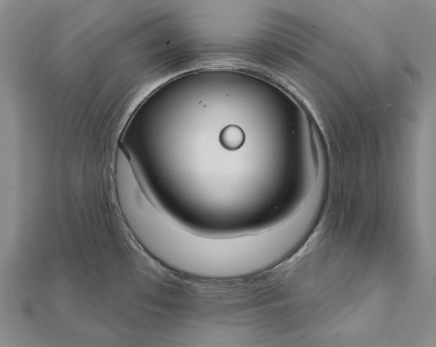 X0000112061481200908251009