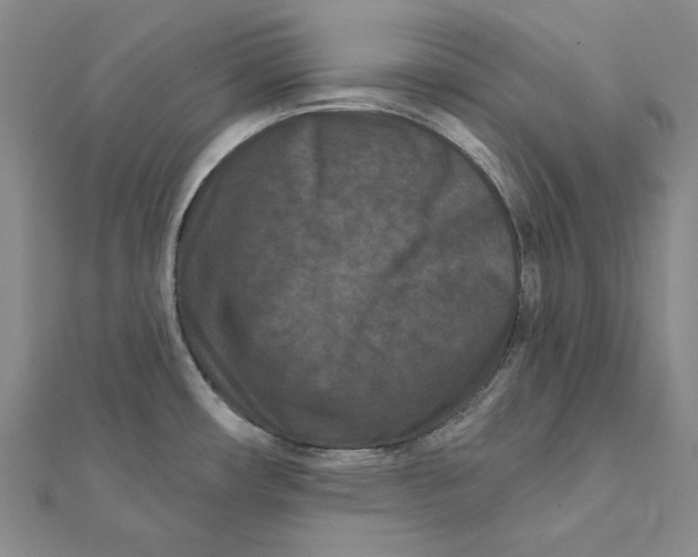 X0000112061482200908251009