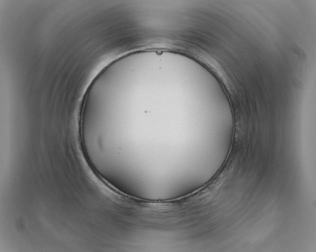 X0000112061483200908251009