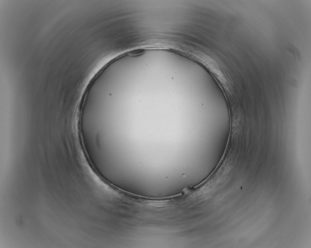 X0000112061484200908251009