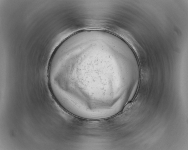 X0000112061485200908251009