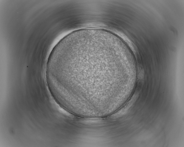 X0000112061486200908251009