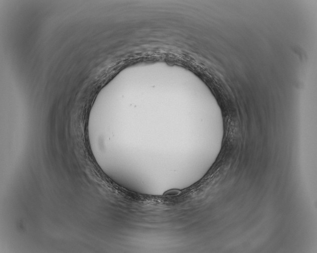 X0000112061489200908251008