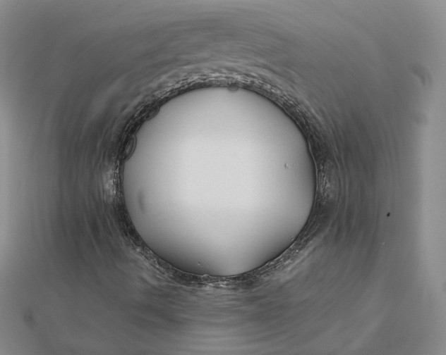 X0000112061490200908251008