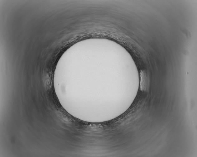 X0000112061491200908251008