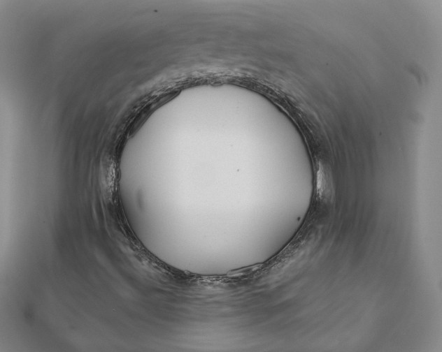 X0000112061492200908251008