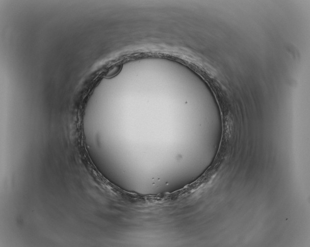 X0000112061494200908251009