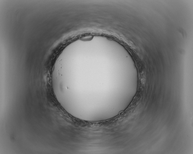 X0000112061495200908251009