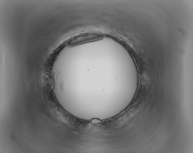 X0000112061496200908251009