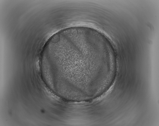 X0000112061497200908251009