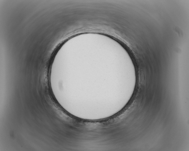 X0000112061498200908251009