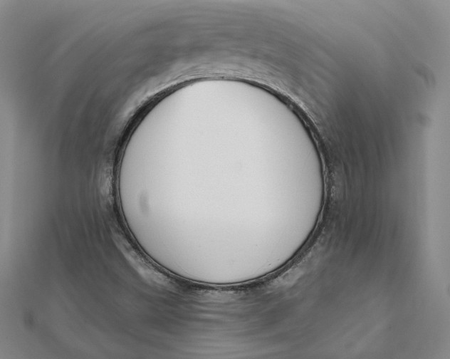 X0000112061499200908251009