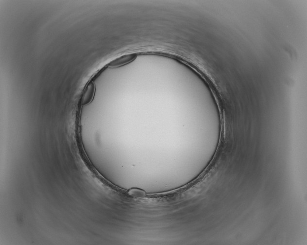 X0000112061500200908251009