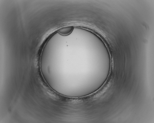 X0000112061501200908251009