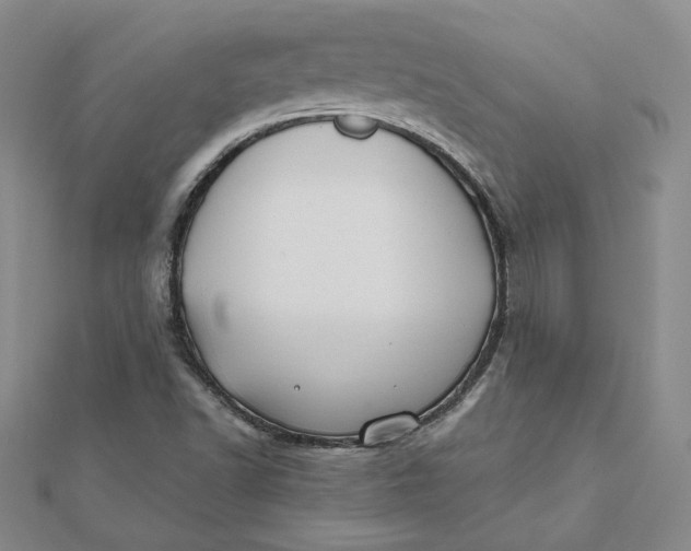 X0000112061502200908251009