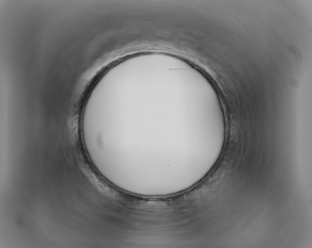 X0000112061503200908251009