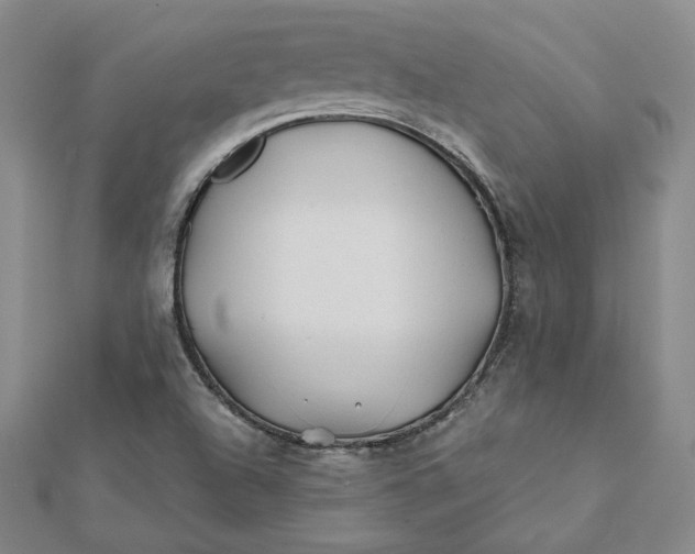 X0000112061504200908251009