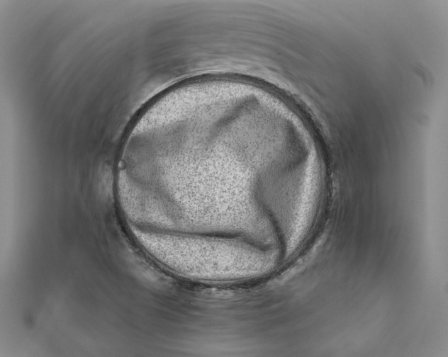 X0000112061505200908251009