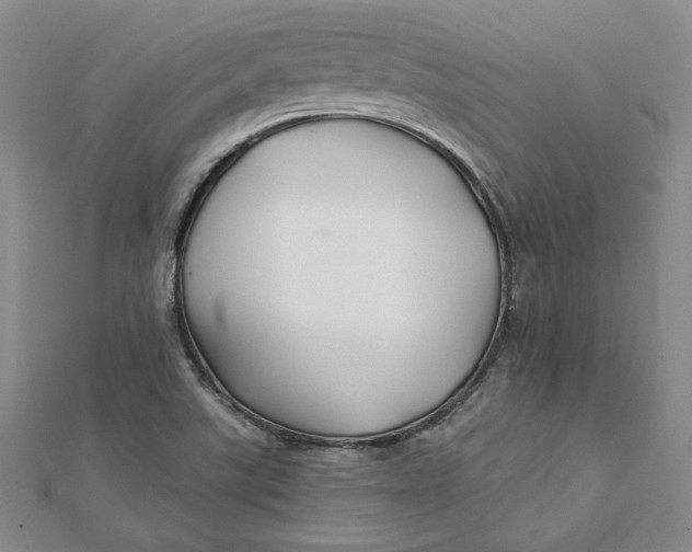 X0000112061507200908251009