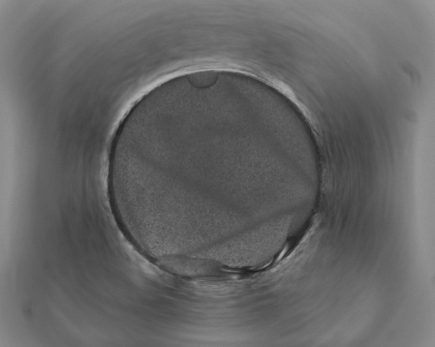 X0000112061508200908251009