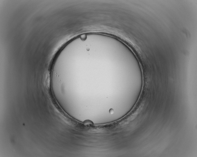 X0000112061509200908251009