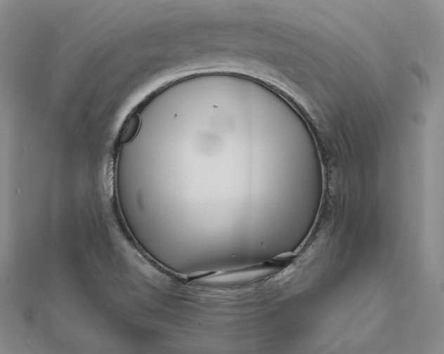 X0000112061510200908251009