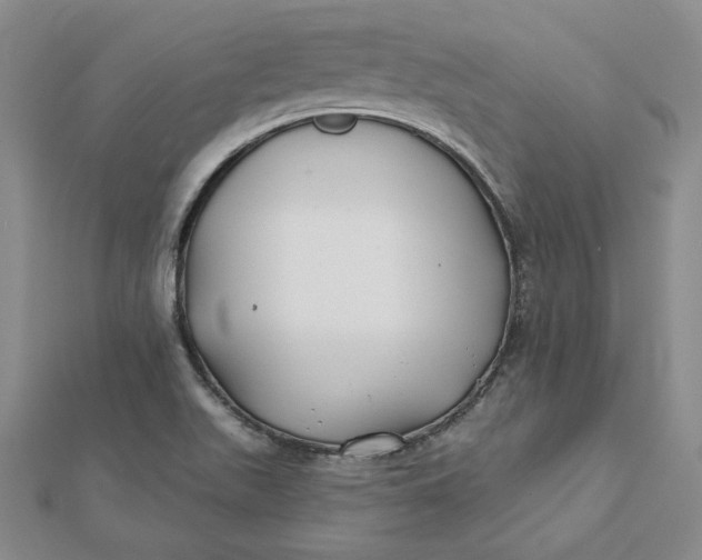 X0000112061511200908251009