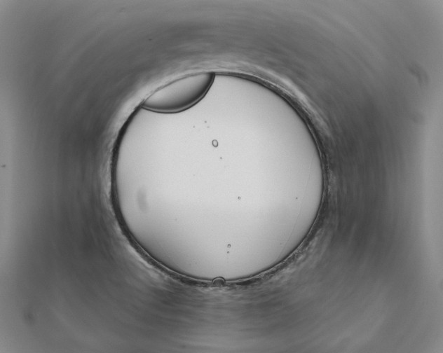 X0000112061512200908251009