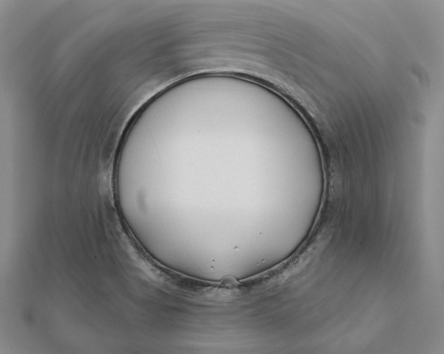 X0000112061513200908251009