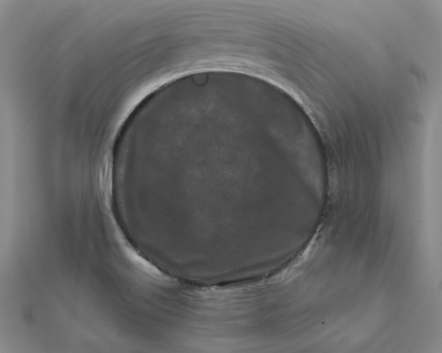 X0000112061515200908251009