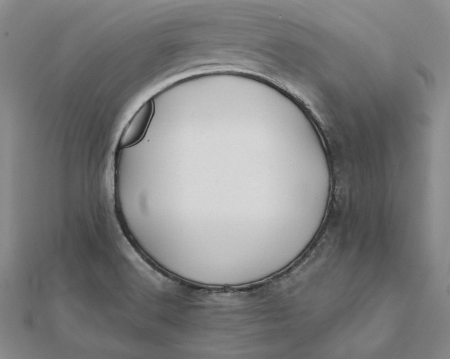 X0000112061516200908251009