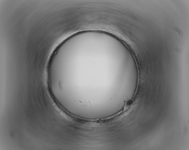 X0000112061517200908251009