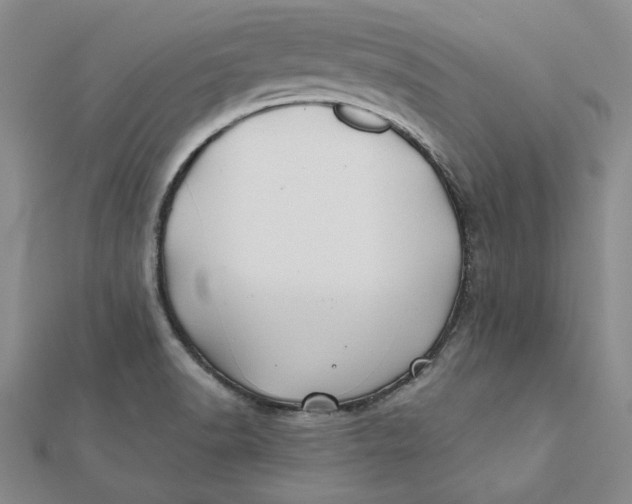 X0000112061518200908251009