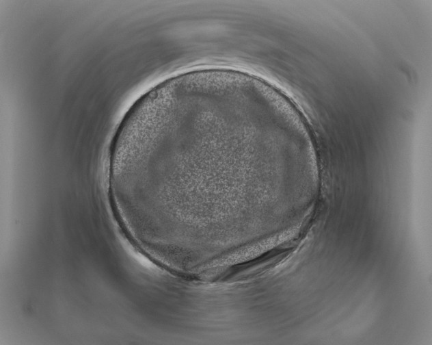 X0000112061519200908251009