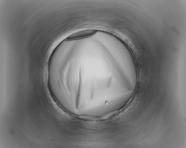 X0000112061520200908251009