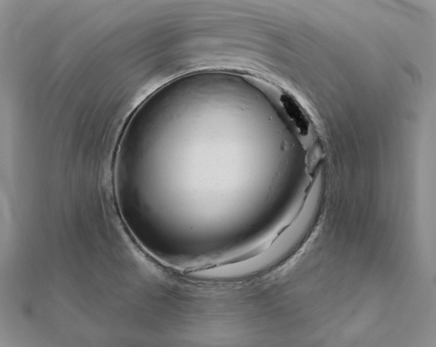 X0000112061521200908251009