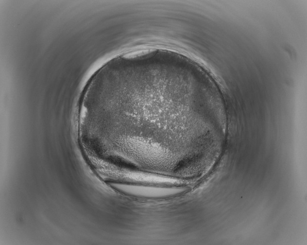 X0000112061522200908251009