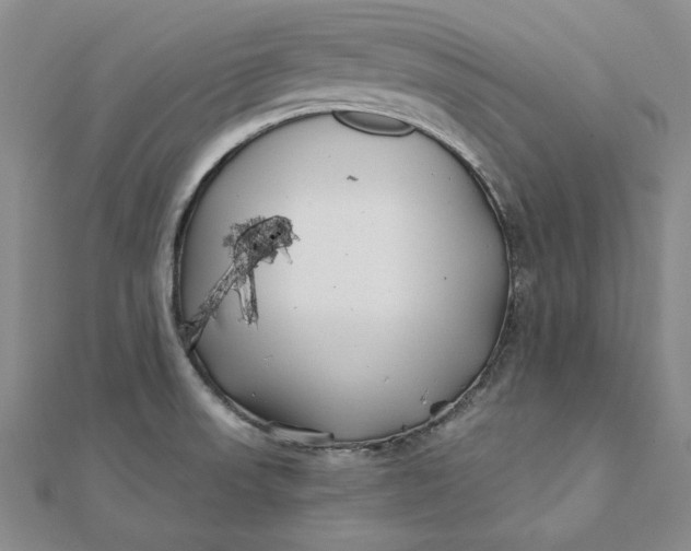 X0000112061523200908251009