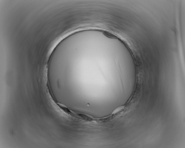 X0000112061524200908251009