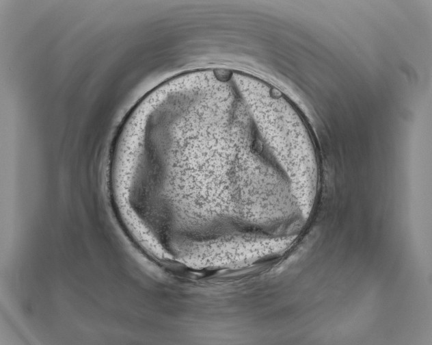 X0000112061525200908251009