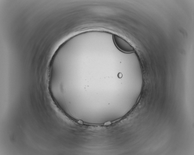 X0000112061526200908251009