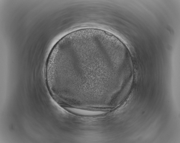 X0000112061527200908251009