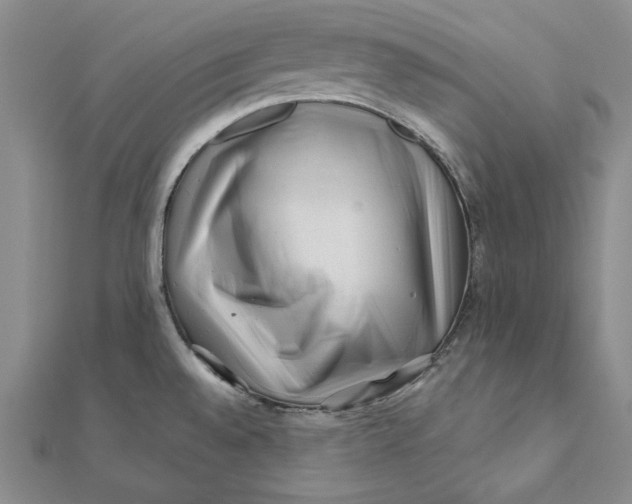 X0000112061528200908251009