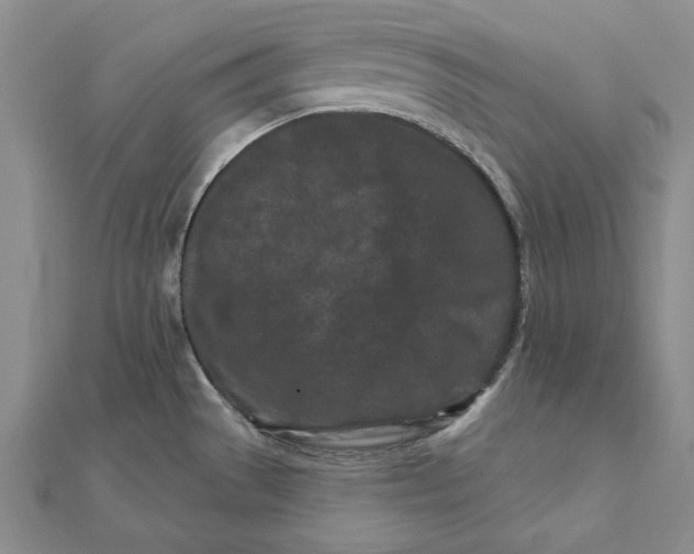 X0000112061529200908251009