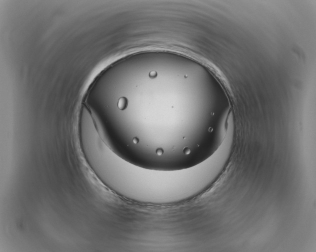 X0000112061530200908251009