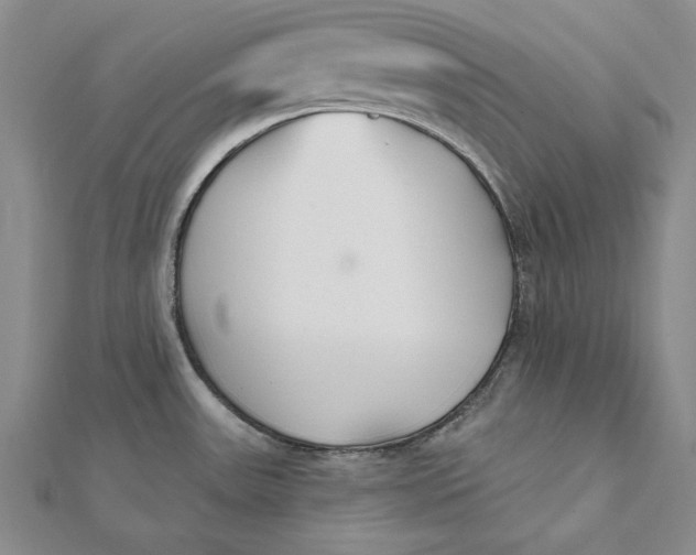 X0000112061531200908251009