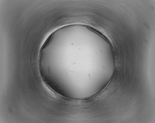 X0000112061532200908251009