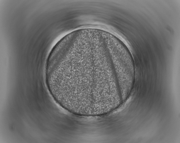 X0000112061533200908251009