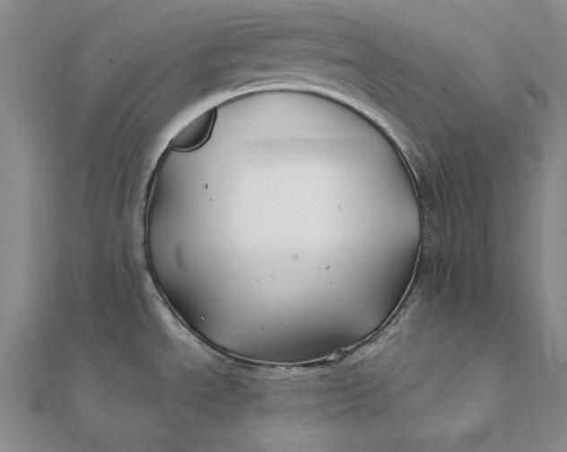 X0000112061534200908251009